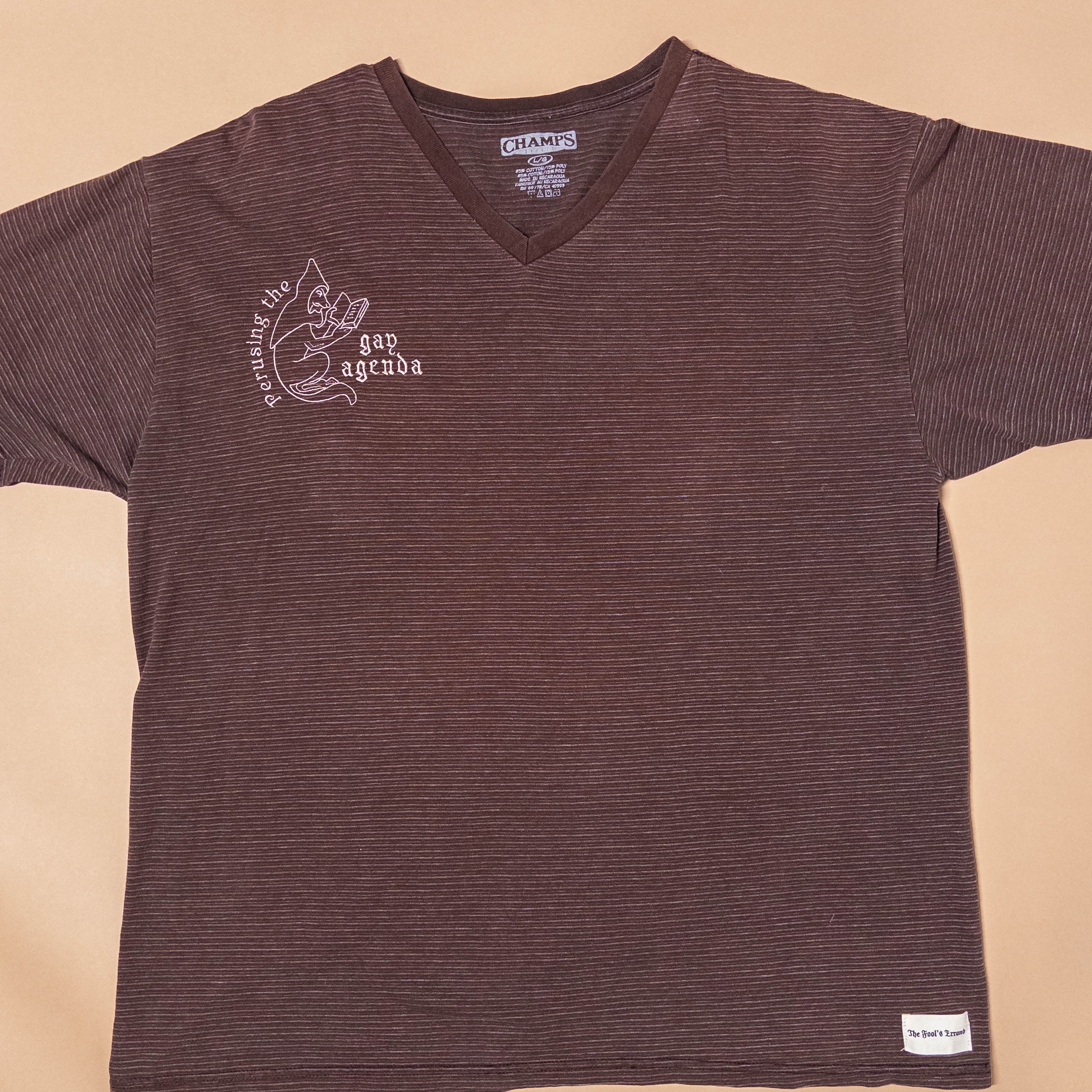 Fox Perusing Gay Agenda Tee in Brown Stripe | Large