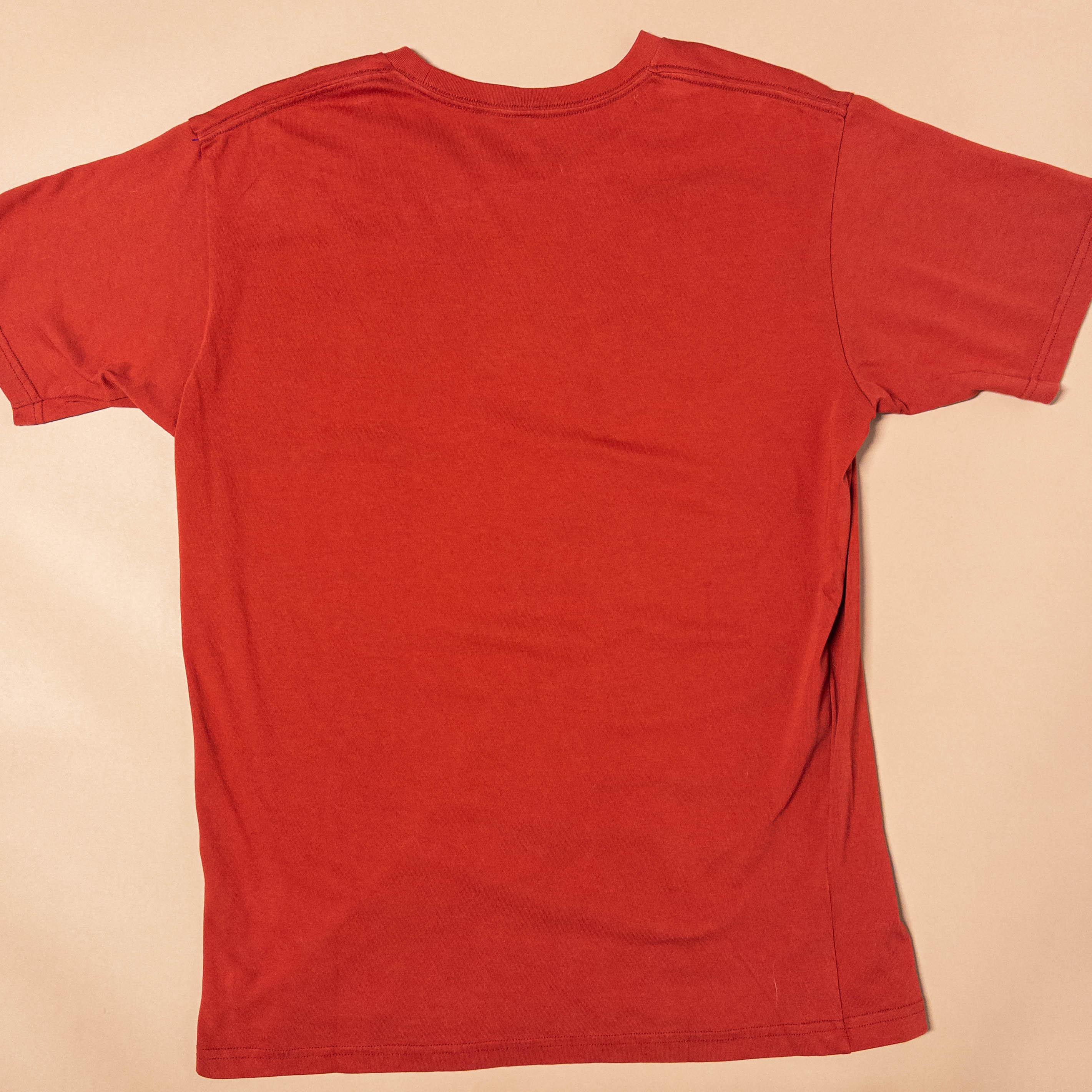 Medieval Frog Tee in Blood Orange | Medium