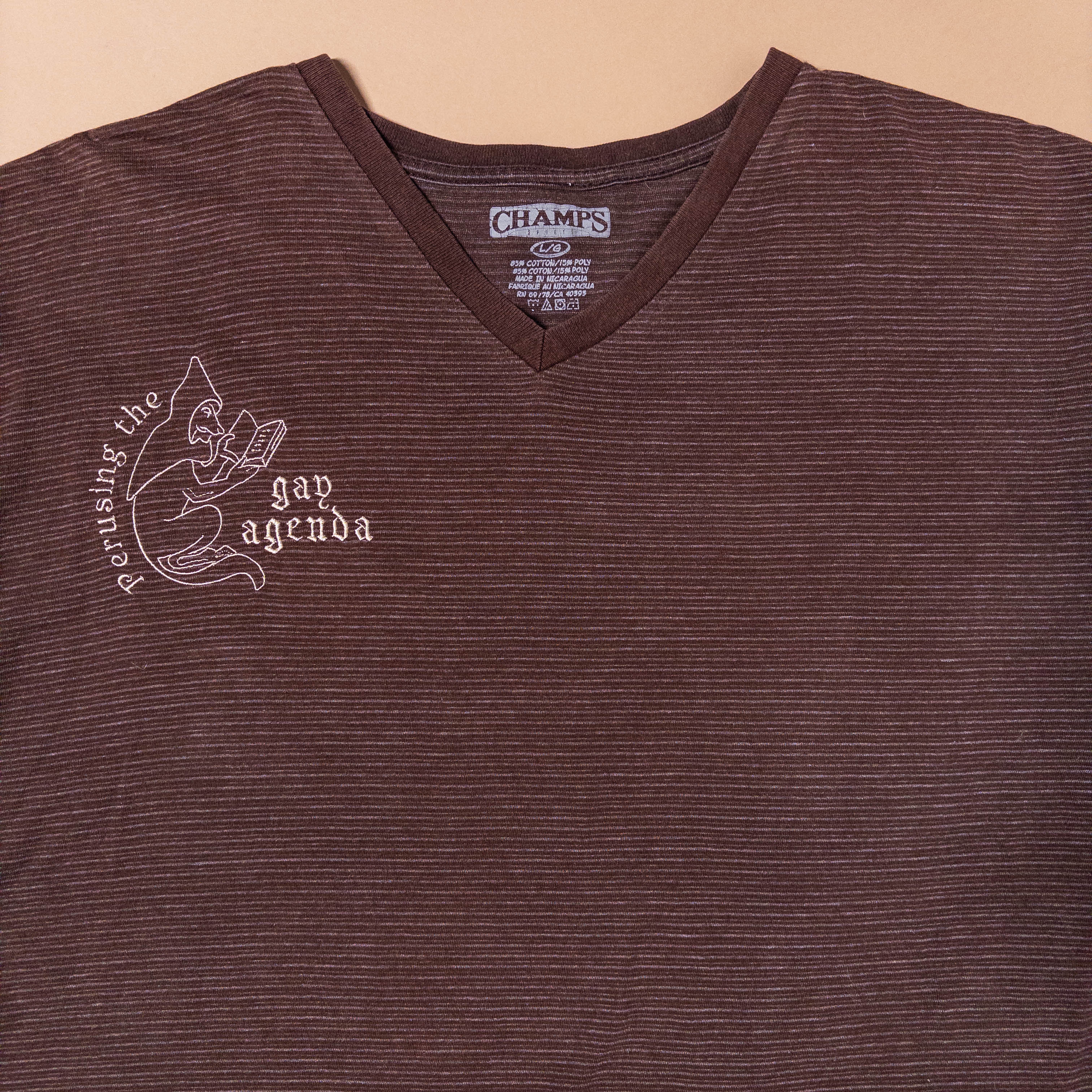 Fox Perusing Gay Agenda Tee in Brown Stripe | Large